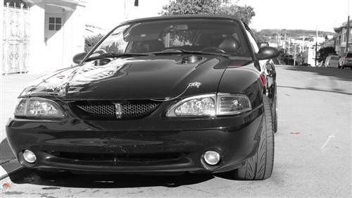 Mustang SVE Hood Pin Appearance Kit (79-14)